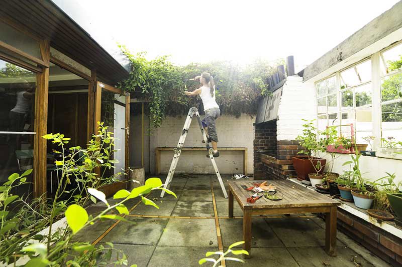 Women working up ladder in her garden